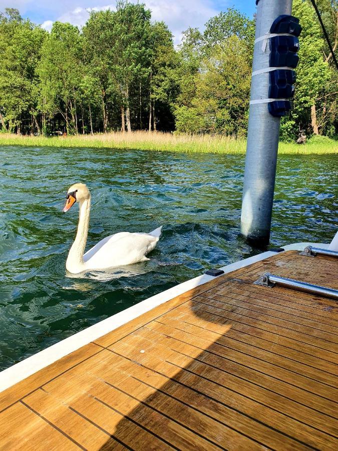 Luxusurlaub Auf Der Amavida Yacht / Scharmuetzelsee Bad Saarow Ngoại thất bức ảnh